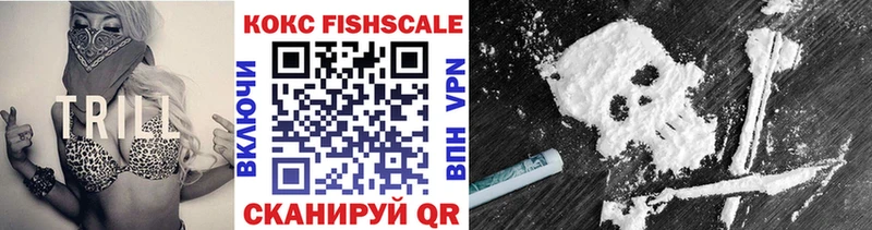 где купить наркотик  Калтан  Cocaine Fish Scale 