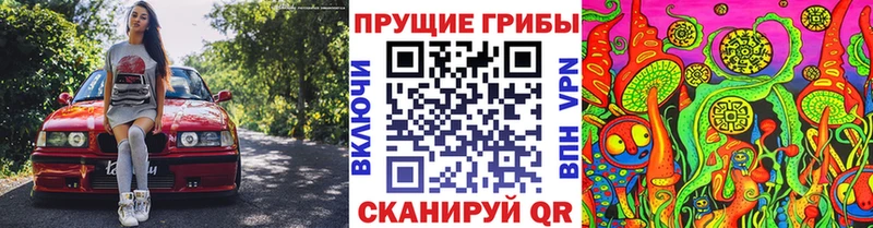 Псилоцибиновые грибы Cubensis  сайты даркнета наркотические препараты  Калтан 